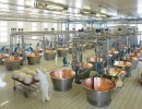 studiogiovetti industrial parmiggiano reggiano cheese processing