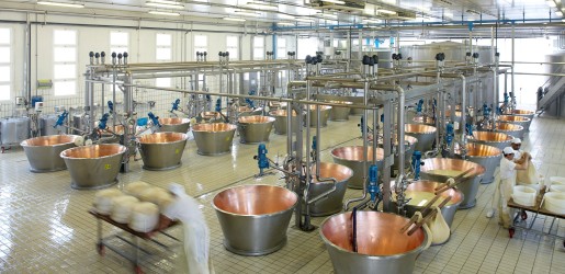 studiogiovetti industrial parmiggiano reggiano cheese processing